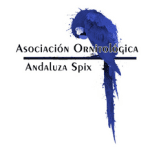 Patrocinadores, patrocinador 6