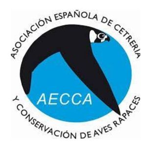Patrocinadores, patrocinador 2