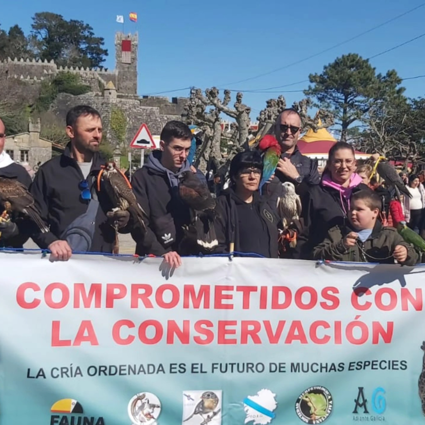 Defensa legal