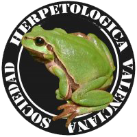 Patrocinadores, patrocinador 13
